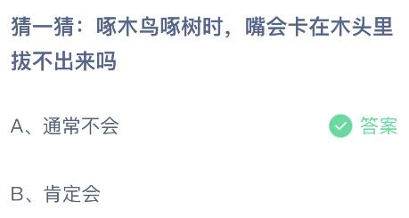 啄木鸟啄树时嘴会卡在木头里拔不出来吗？蚂蚁庄园小鸡课堂最新答案5月30日