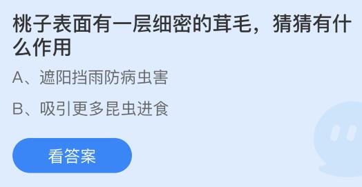 蚂蚁庄园桃子茸毛有什么作用？蚂蚁庄园6.1今日答案