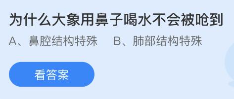 为什么大象用鼻子喝水不会被呛到？蚂蚁庄园小鸡课堂最新答案6月13日